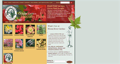 Desktop Screenshot of bloomriver.com