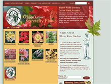 Tablet Screenshot of bloomriver.com